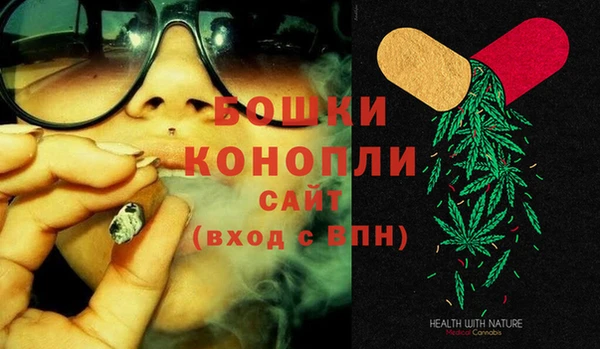 PSILOCYBIN Киреевск