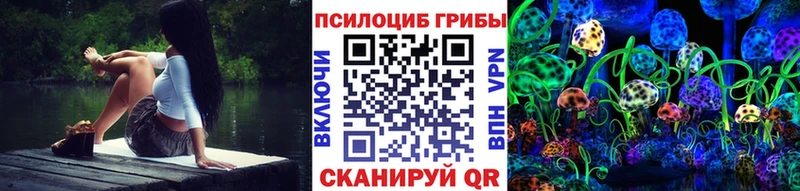 как найти закладки  Сретенск  Псилоцибиновые грибы GOLDEN TEACHER 